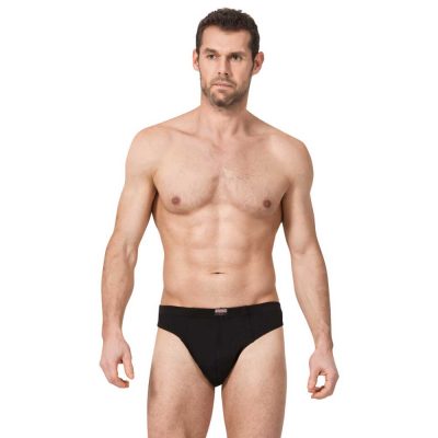 Briefs